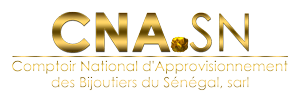 Cna Logo